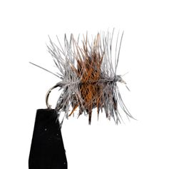SELECTION TRICOLORE CLAIRE H14