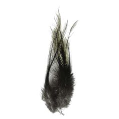 PLUME PARDO FLORDE ESCOBAR LANCETTE