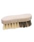 BROSSE POUR LE MENAGE