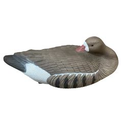 APPELANT OIE DORMEUSE