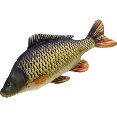 PELUCHE CARPE COMMUNE 64CM