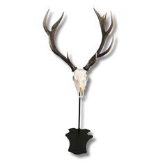 SUPPORT TROPHEE PREMIUM SUR PIED CERF