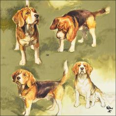 SERVIETTE BEAGLES