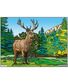 COLORIAGE LE CERF