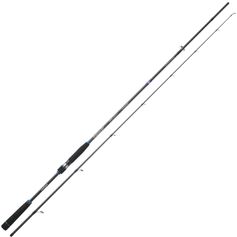 CANNE RYOKAN SW 2M74 15/50G