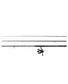 CANNE TANAGERGII FEEDER 3M33+MOULINET