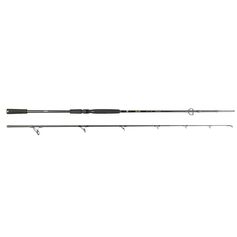 CANNE BIG LURE 2M20 40/120G
