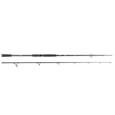 CANNE BIG LURE 2M40 60/180G