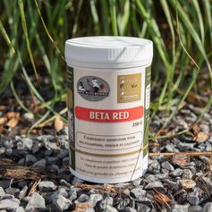 COMPLÉMENT BETA RED 250G