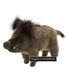 PELUCHE SANGLIER H21CMH 29CML