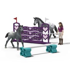 COFFRET L’ENTRAÎNEMENT AU TOURNOI DE LISA