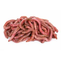 VERS DEMI DURE 40GR