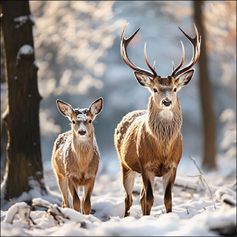 SERVIETTE CERFS DANS LA NEIGE