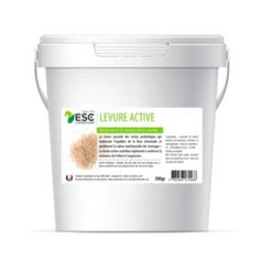LEVURE ACTIVE 500GR