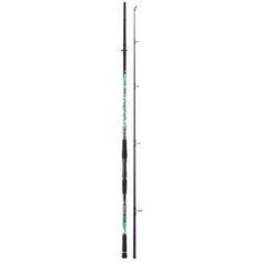 CANNE PREDATOR CAT POWER 3M 100-250G