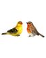 DECO OISEAUX "PALOMA" 9.5X4.8X7.3