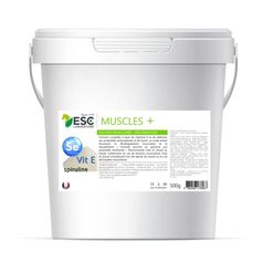 MUSCLE + 500GR