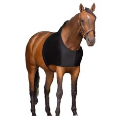 PROTECTION DE POITRAIL NOIR