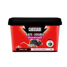BLOCS EXTERIEURS RATS SOURIS 300GR