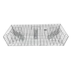 NASSE A RAT MUSQUE AVEC APPAT