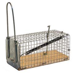 NASSE SOURIS 1 ENTREE 12X6X6