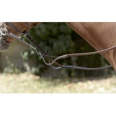 RENES ELASTIQUES HAVANE