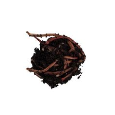 VERS DENDROS 250G