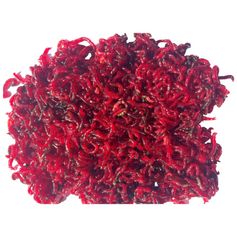 VERS DE VASE PUR PORTION