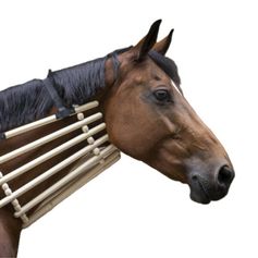 COLLIER EN BOIS POUR ENCOLURE