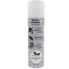 MOUSSE MULTI-NETTOYANTE 250 ML