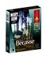 CARTOUCHES BECASSE 12/70 38G BG X10