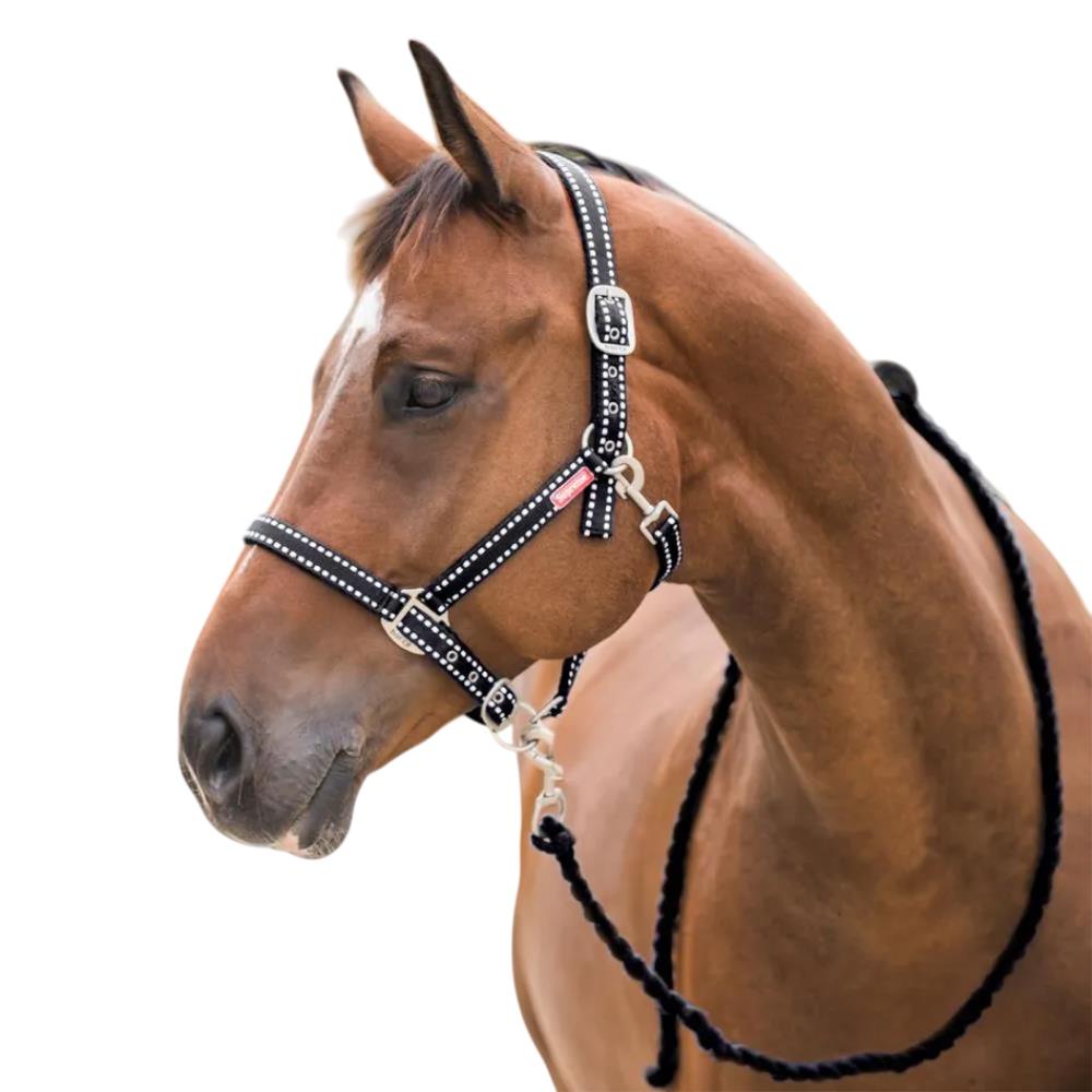 LICOL + LONGE COOPER NOIR