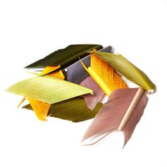 PLUME QUILL D'AILE DE DINDE