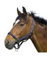 LICOL DOUBLE CUIR CHEVAL DE TRAIT