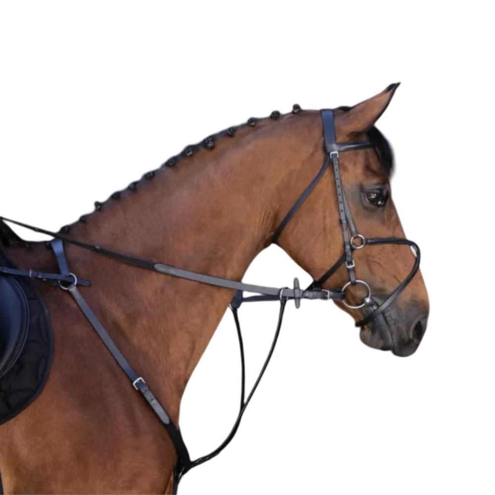 MARTINGALE A ANNEAUX CHEVAL