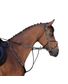 MARTINGALE A ANNEAUX CHEVAL