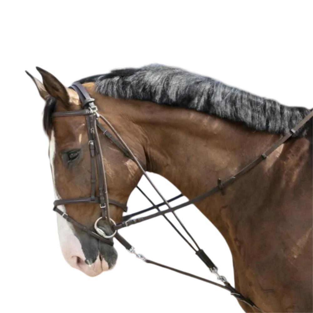 GOGUE POULIES HAVANE