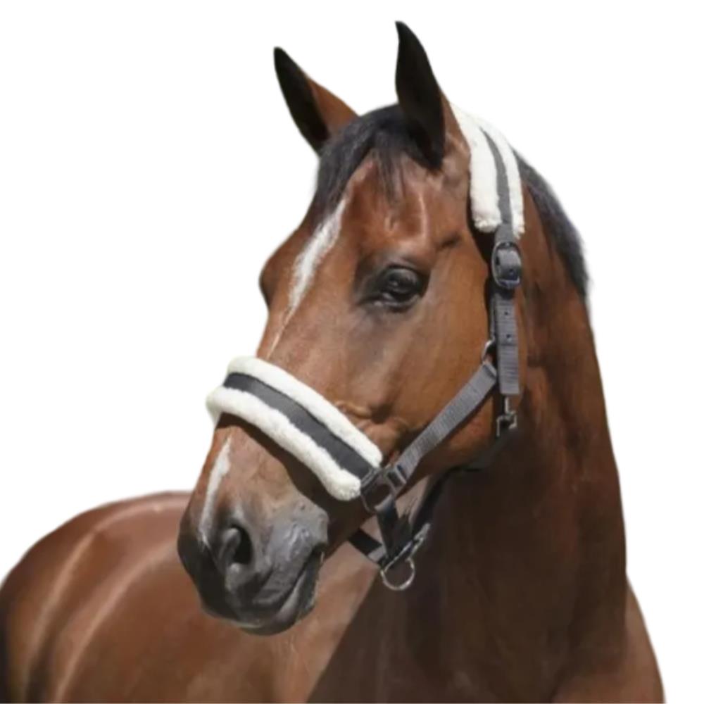 LICOL MOUTON SYNTHETIQUE CHEVAL