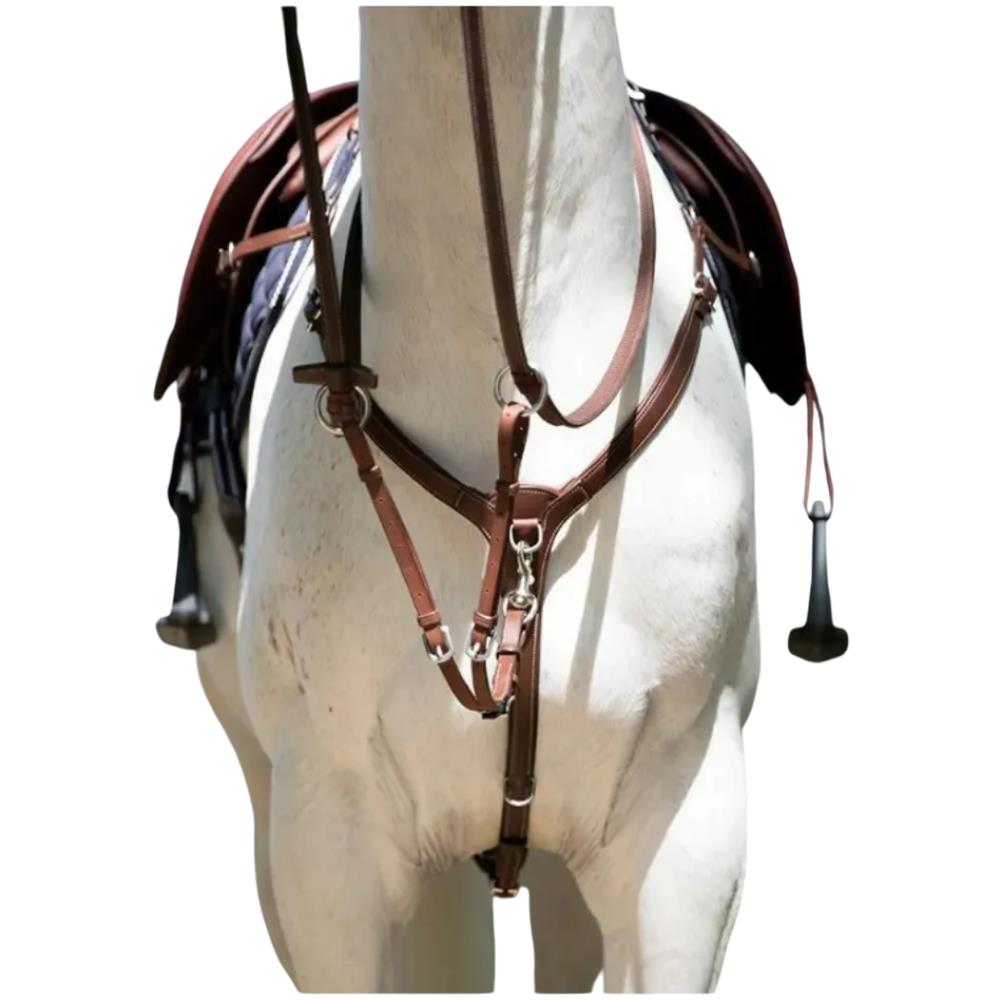 COLLIER DE CHASSE A PONT HAVANE