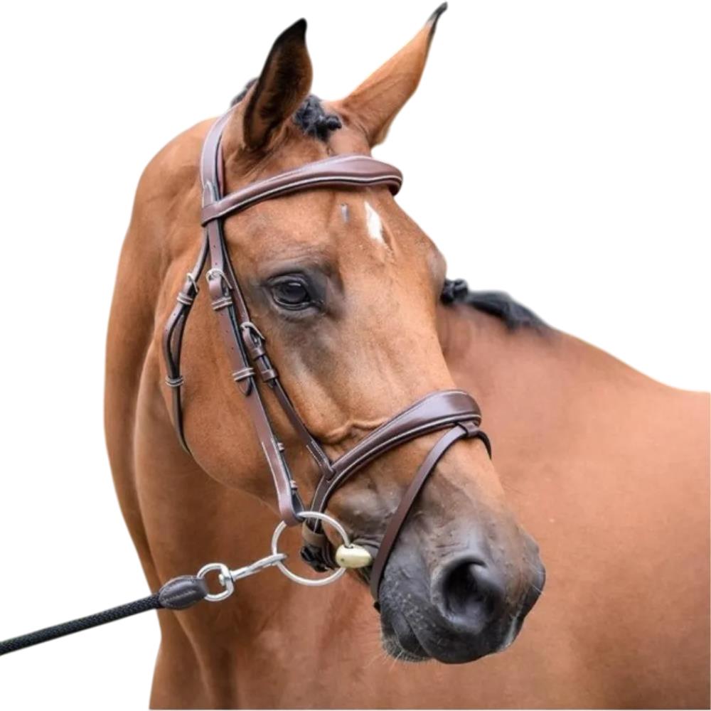 BRIDON ONE BRUXELLES NOISETTE