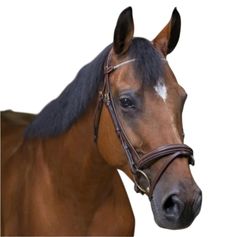 BRIDON STRASS HAVANE