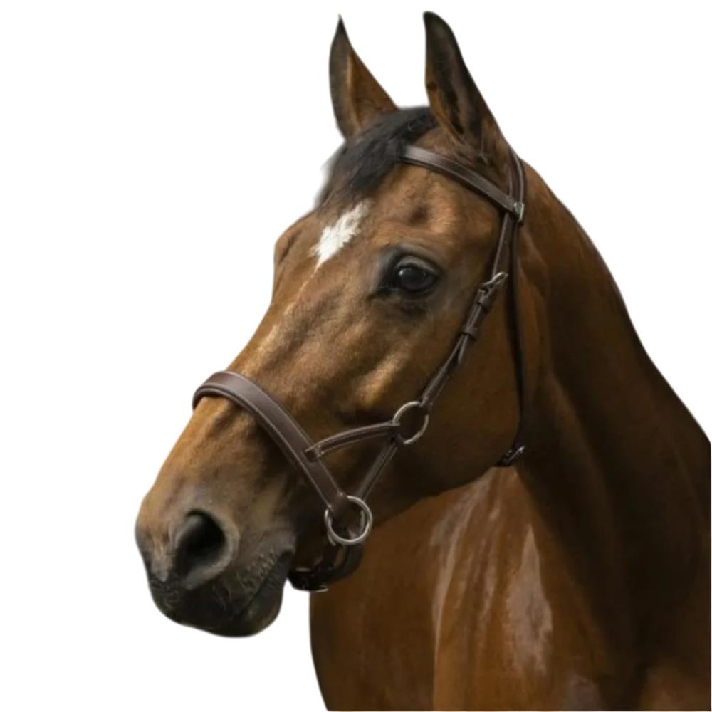 SIDE-PULL CONFORT NORTON PRO CHEVAL