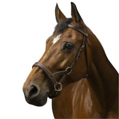 SIDE-PULL CONFORT NORTON PRO CHEVAL