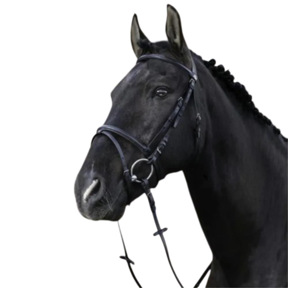 BRIDON+RENES MUS.COMBINEE NOIR