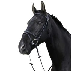 BRIDON+RENES MUS.COMBINEE NOIR