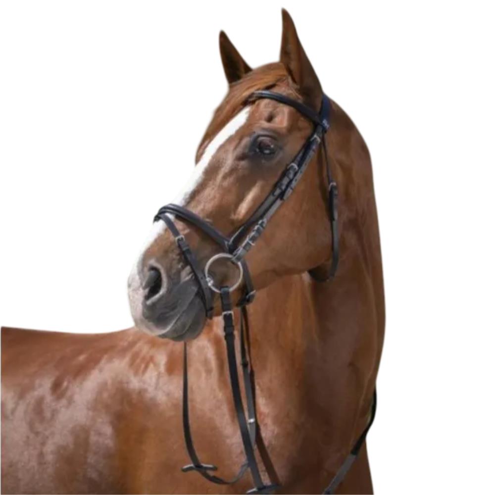 BRIDON+RENES MUS.COMBINEE HAVANE