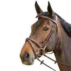 BRIDON CUIR FONCTIONAL HAVANE