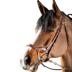 BRIDON CUIR ANATOMIQUE TECHNO HAVAN