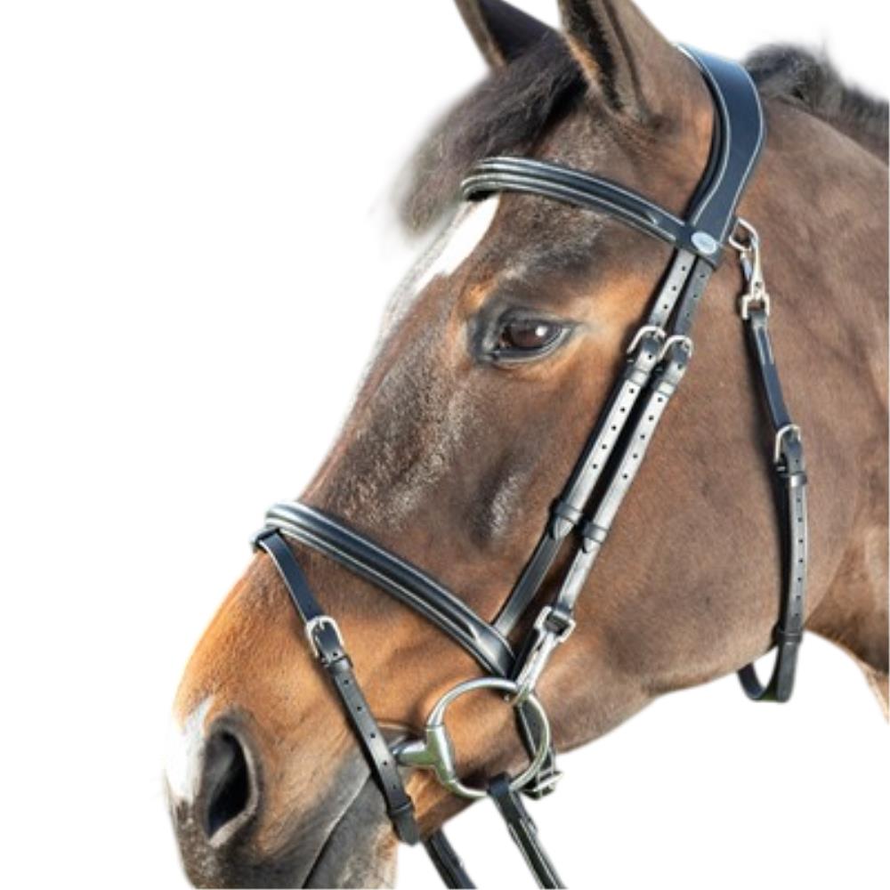 BRIDON CUIR FONCTIONAL NOIR