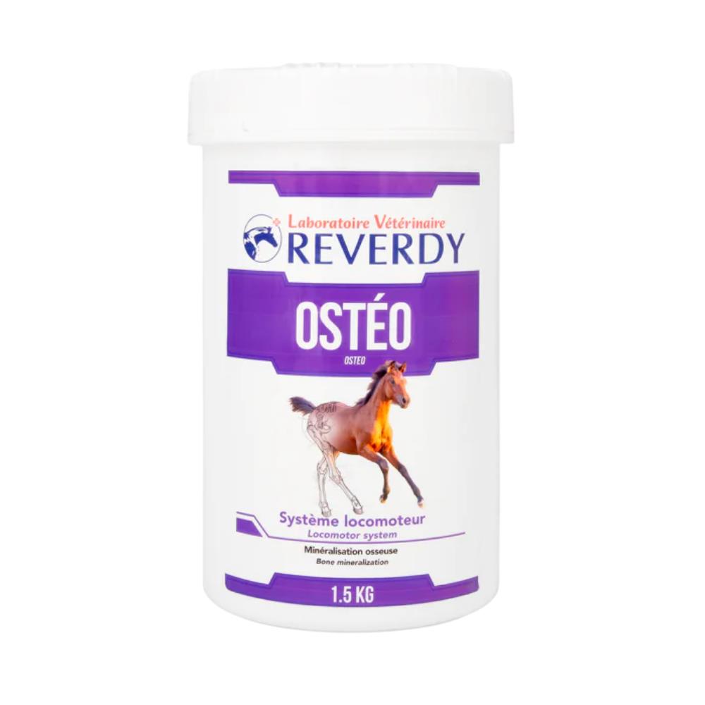 OSTEO